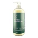 Paul Mitchell Tea Tree Lavender Mint Moisturizing Shampoo...