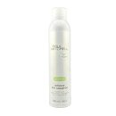 Paul Mitchell Intense Dry Shampoo 300 ml